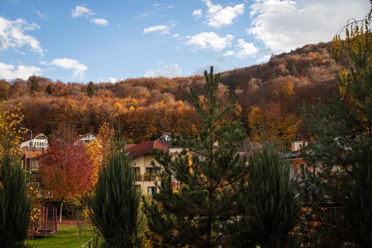 Jungle Family Villa Near Park Aventura,Lake,Zoo Braşov Exterior foto